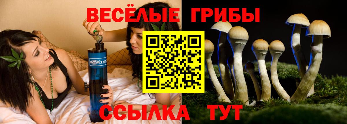 Галлюциногенные грибы ЛСД  Галлюциногенные грибы Psilocybine cubensis  Южноуральск  Вход с VPN 